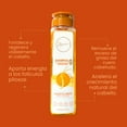 thumbnail image 6 of Anyeluz Shampoo con Ginseng Y Anyeluz Acondicionador con Ginseng (2 Pack), 6 of 7