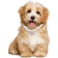 thumbnail image 6 of XiaoEn 2pcs Cat Dog Pearl Collar, Small Heart Shape Rhinestone Pet Necklace, Adjustable Wedding Party Pet Jewelry Accessories for Puppy Small Cats-kitten, 6 of 7