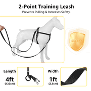 No-Pull Dog Harness and Leash Set, Front Clip Adjustable Vest with Handle for Control, Easy Walking Training(S,Black)