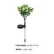 thumbnail image 2 of KAKOWELY 1 lámpara solar decorativa de suelo con forma de flor de clavel, lámpara solar LED para césped, 2 of 4