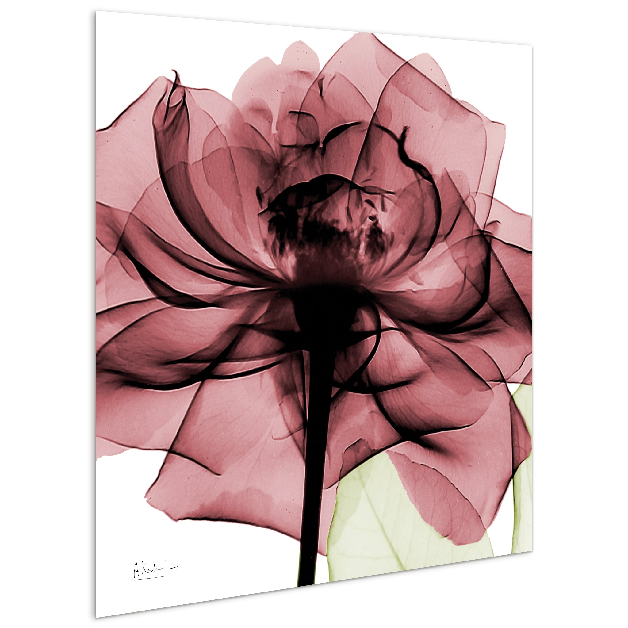 Empire Art Direct Chianti Rose I & II Frameless Free Floating Tempered Glass Panel Graphic Wall Art, 24" x 24" each, Ready to Hang