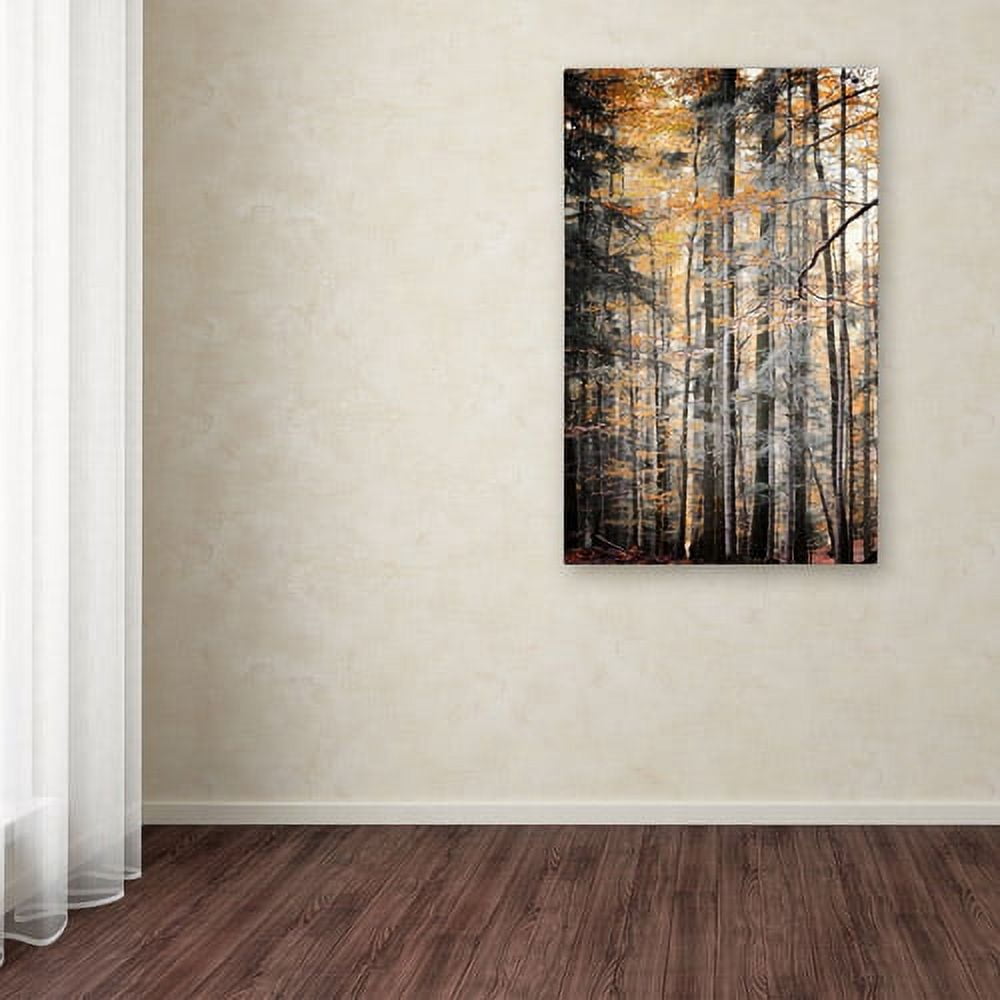Trademark Fine Art "Autumn Tones" Canvas Art by Philippe Sainte-Laudy