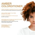 thumbnail image 3 of Celeb Luxury Amber Copper Brown Gem Lites Professional Hair Coloring Tool Kit, 3 of 9