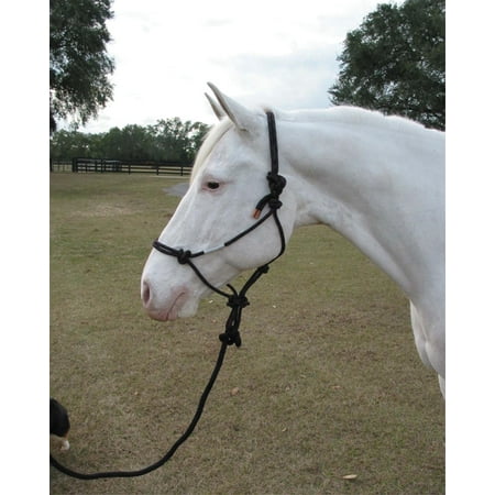 Halti Halter - Hamilton Halter Company-Adult Horse Rope Halter With Lead- Black Average Horse