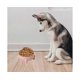 thumbnail image 5 of Pet Food and Water Bowls for Dog Cat Anti Vomiting Cat Dog Feeder Protect Pet's Spine-style3, 5 of 5