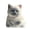 C, variant on Cat Squishy Toy Soft Stress Relief Squeeze Toy Cute Kawaii Decompression Toy Portable Anxiety Relief Toy for Work Classroom Campus Travel 8 Inch