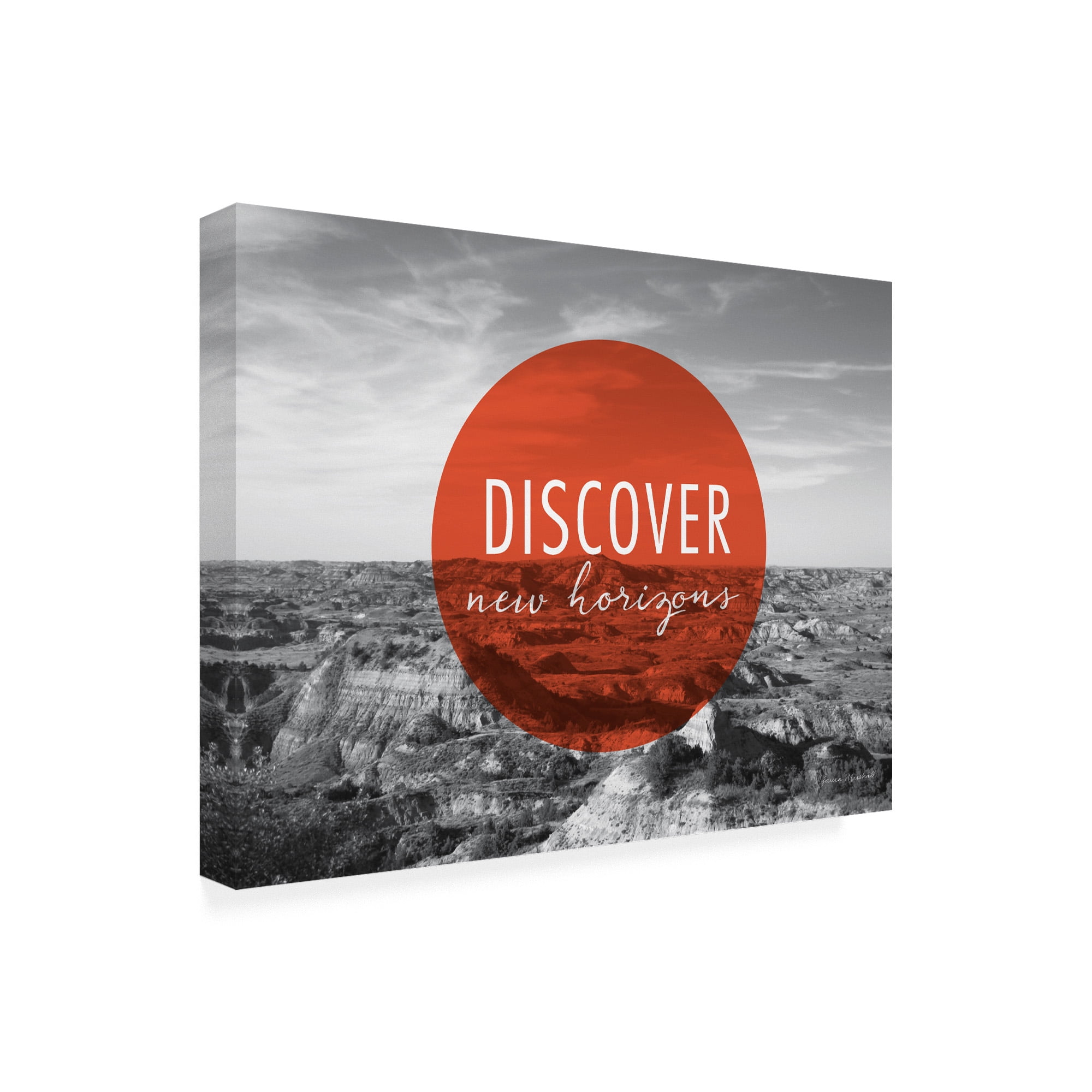 Trademark Fine Art 'Discover New Horizons v2' Canvas Art by Laura Marshall