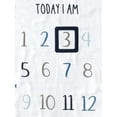 thumbnail image 6 of Gerber Baby Boy Milestone Blanket & Frame Set, 2-Piece, 6 of 7