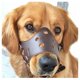 thumbnail image 1 of Leather Dog Muzzle Anti-Barking for Small Medium Large Dogs, Size L, Compatible with Oral-B, 1 of 5