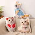 thumbnail image 6 of Customized Pet Pillow with Personalized Shape, Featuring Pets/Pictures/Characters - (Double-Sided Printing) C 33-35Cm, 6 of 10