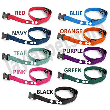 Sparky Pet Co ?? 2 Hole 1.25? Replacement Collar Strap and Compatible with