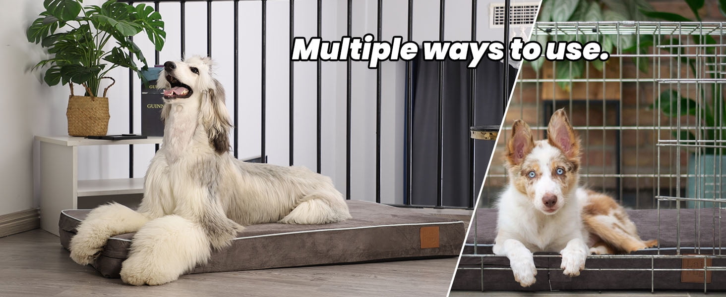 Laifug Orthopedic Dog Bed 34"x22"x4", Memory Foam Pet Bed with Waterproof Liner