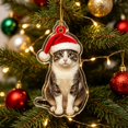 thumbnail image 6 of Dalxymotic Christmas Pet Acrylic Pendant, Christmas Acrylic Hanging Ornaments, Flat Printed Pet Pendant, Cute Ornament, Christmas Tree Decoration for Home, Mantel, Bookshelf, Desk, 6 of 8
