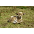 thumbnail image 2 of Hi-Line Gifts Baby Lamb Lying Down Outdoor Garden Statue - 9.25", 2 of 8