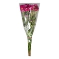 thumbnail image 3 of Bouquet de pompon mixto 10 tallos, 3 of 4