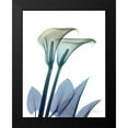 thumbnail image 2 of Koetsier, Albert 19x24 Black Modern Framed Museum Art Print Titled - Ombre Expression 9, 2 of 5