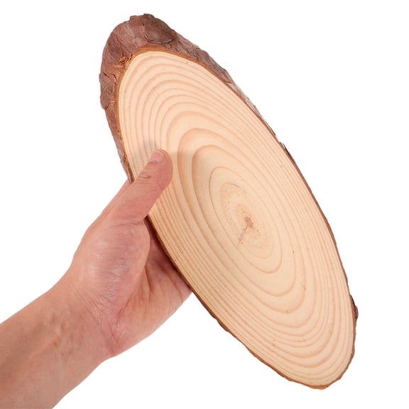 OUNONA Natural Oval Wood Slices Set of 4, Unpainted Wooden Craft Discs for Home Decor and Projects