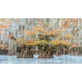 thumbnail image 2 of Head, Danny 14x10 White Modern Wood Framed Museum Art Print Titled - Bayou Colors, 2 of 4