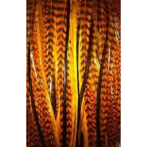 Sexy Sparkles Halloween Feather Remix of Orange Grizzly Black Feathers for Hair Extensions, 5Pcs