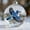 C, variant on Christmas Ball Transparent Ball Red Simulated Decoration Material Ball Christmas Christmas Pendant