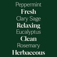 thumbnail image 4 of Plant Therapy Home Sparkling Peppermint Laundry Essential Oil Blend 10 mL (1/3 oz) Pure, Undiluted, Wash Fragrance and Scent Enhancer, 4 of 9