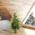 thumbnail image 2 of Vickerman D181030 Arbre de Pin Boulder Vert 3 Pi x 23 Po avec Base en Toile de Jute et 43 Embouts, 2 of 3