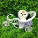 thumbnail image 2 of Novedoso cachorro de peluche en , modelo de animales de peluche, perro de peluche, figura de mascota suave perfke Peluche de peluche de juguete, 2 of 9