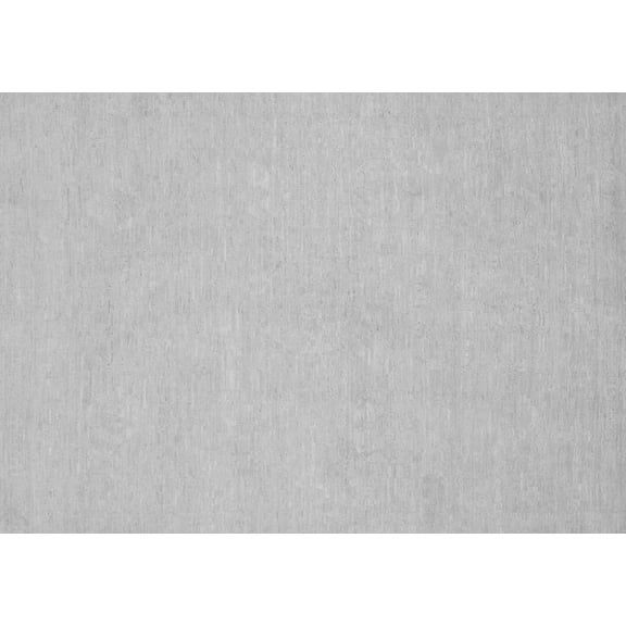 Ahgly Company Indoor Rectangle Oriental Gray Traditional Area Rugs, 2' x 3'