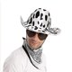 thumbnail image 5 of Sombreros de vaquero, sombrero de vaquera occidental, pañuelo, gafas, sombrero de vaquero Unisex, disfraz de Halloween, vestido de Cosplay, accesorios de fiesta, 5 of 5