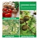 thumbnail image 5 of Podadoras de jardín, Tijeras de podar con trinquete para jardinería, Trabajo 3 veces más fácil, Podadoras manuales, Cortar rosas, flores, árboles, plantas vivas, Afiladas, Tijeras de podar duraderas,, 5 of 5
