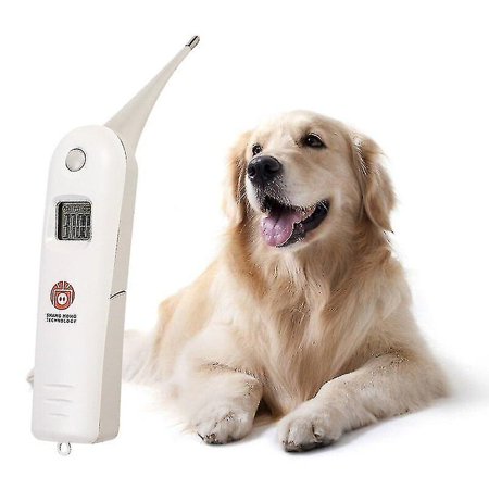 

Animal Electronic Thermometer Pet Digital Thermometer Fast Rectal Thermometer For Dogs Pig Horse