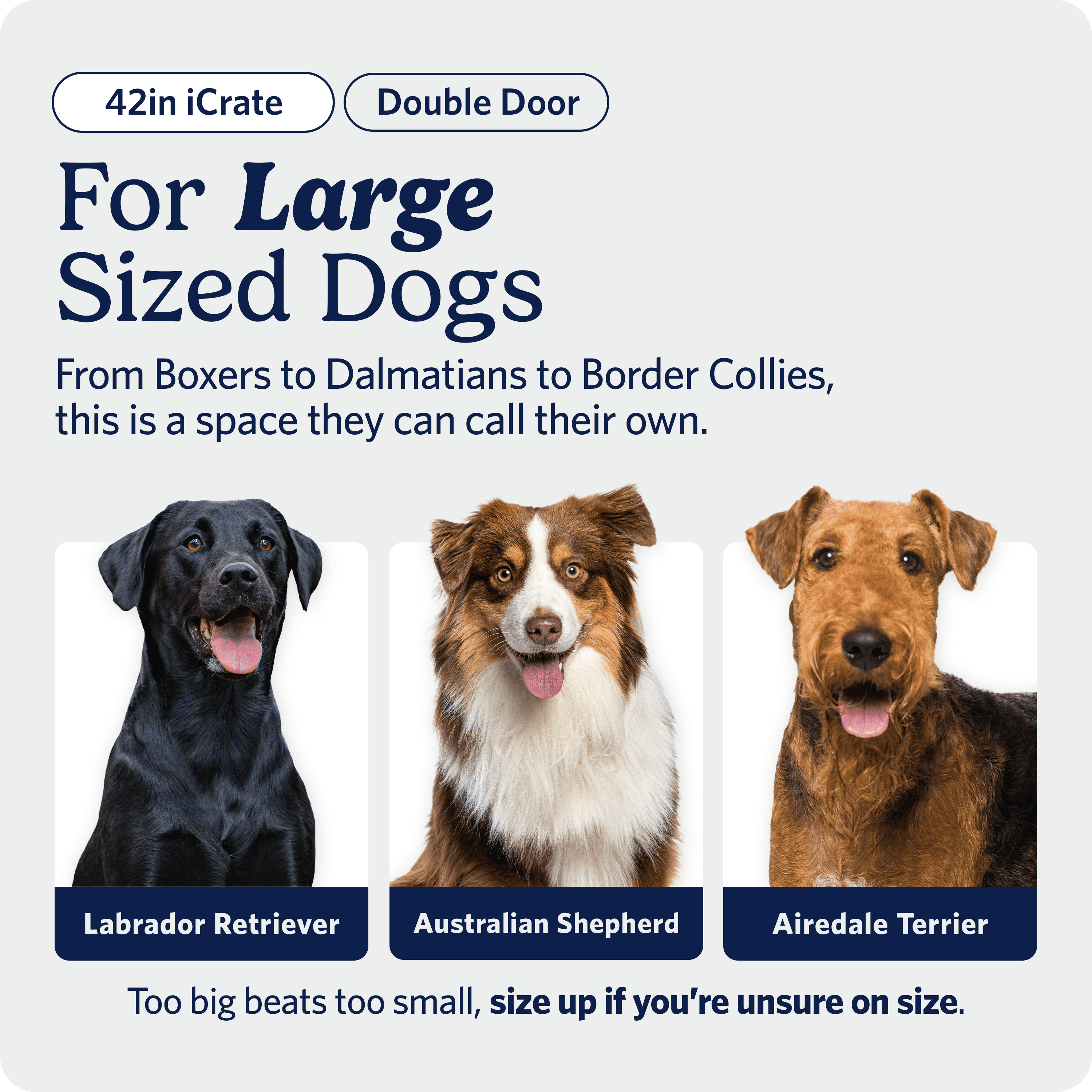 MidWest Homes for Pets 42-Inch Two-Door iCrate Folding Dog Crate with Divider Panel, Leak-Proof Tray & Secure Latches – Metal Wire Kennel for Large Breeds – Portable, Durable & Easy to Assemble