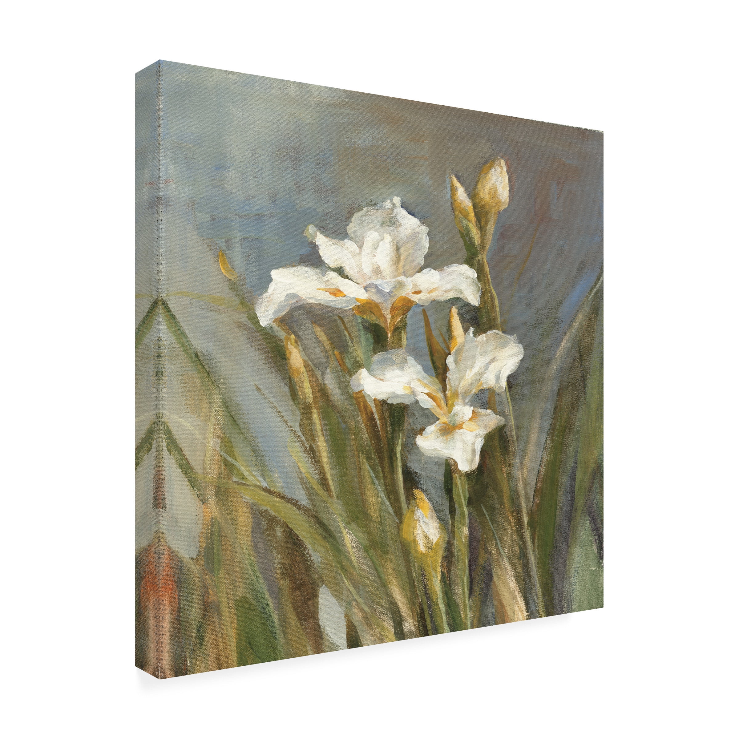 Trademark Fine Art 'Spring Iris II' Canvas Art by Danhui Nai