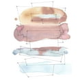thumbnail image 2 of Delamater, Rob 20x24 White Modern Wood Framed Museum Art Print Titled - Desert Series V, 2 of 4