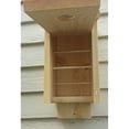 thumbnail image 3 of Urban Nature Store Convertible Roost Birdhouse, 3 of 3