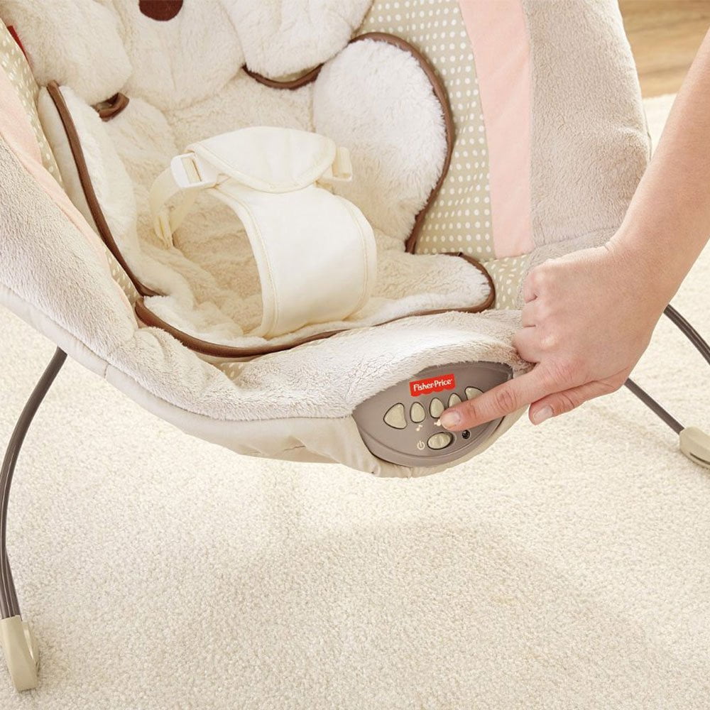 fisher price my little snugapuppy bouncer