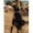 Black, variant on Women Black Lace V-Neck Short Sleeve Midi Dress With Asymmetrical Hem For