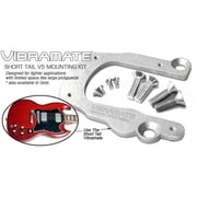 Vibramate V5 Guitar Mount Kit Model سريع لـ Bigsby B5 Original