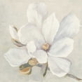 thumbnail image 2 of Purinton, Julia 26x26 Gold Ornate Wood Framed with Double Matting Museum Art Print Titled - Serene Magnolia, 2 of 4