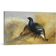 thumbnail image 1 of ARTCANVAS Blackgame On Corn Stooks 1898 Canvas Art Print by Archibald Thorburn - Size: 26" x 18" (0.75" Deep), 1 of 9