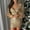 Gold, variant on CALAFEBILA Women Dresses,Ladies Fashion Glitter Sparkly Sequin Party Party Ball Dress Deep V Neck Hip Wrap Bodycon Short Dress