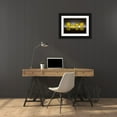 thumbnail image 3 of De Kogel, Wieteke 24x18 Black Ornate Wood Framed with Double Matting Museum Art Print Titled - Lemon, 3 of 4