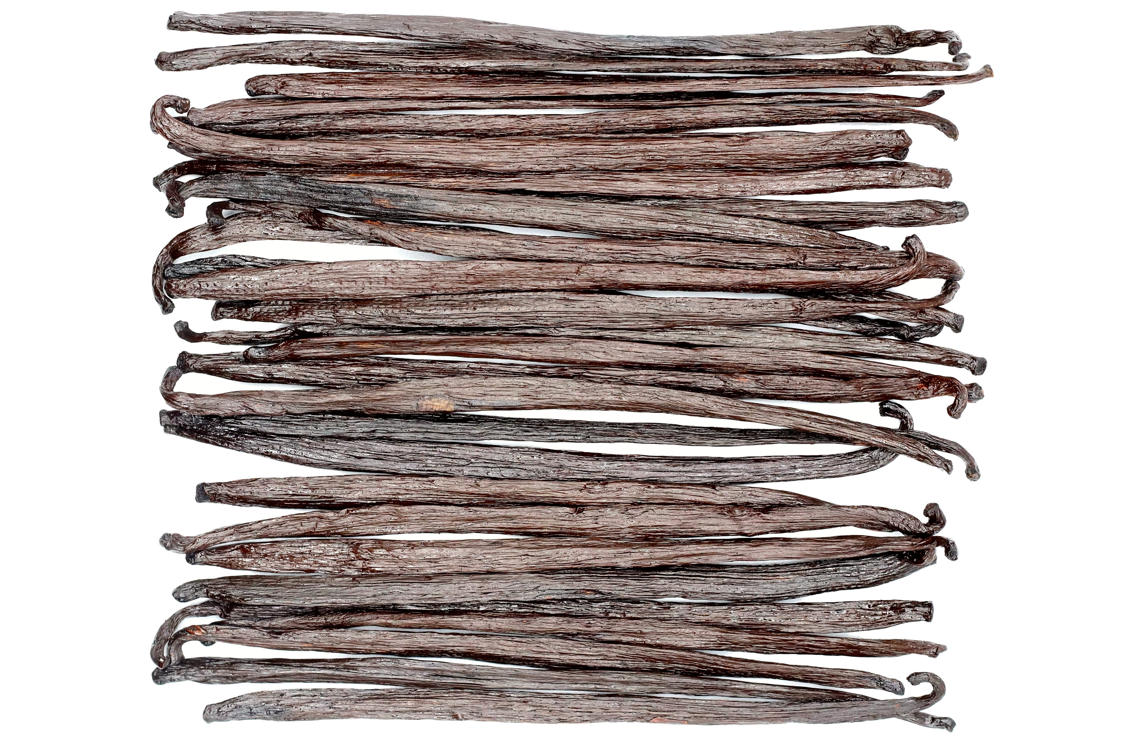 30 Extract Grade Mexican Vanilla Beans - Voladores Vanilla