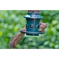 thumbnail image 4 of Brome Squirrel Buster Plus Bird Feeder, 4 of 6