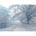 thumbnail image 2 of Frank, Assaf 18x15 Black Ornate Wood Framed with Double Matting Museum Art Print Titled - Misty Canal-Autumn, 2 of 4