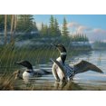 thumbnail image 1 of Cobble Hill - 1000-Piece Puzzle (Common Loons ), 1 of 10