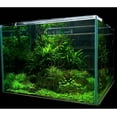 thumbnail image 4 of Yirtree Artificial Aquarium Ornament Aquatic Grass Lawn Turf /Underwater Plastic Green Plant for Home Office Saltwater Freshwater Tropical Fish Tank Decorations, 4 of 7