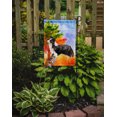 thumbnail image 2 of Carolines Treasures CK1955GF Fall Border Collie Garden Size Flag, 2 of 3