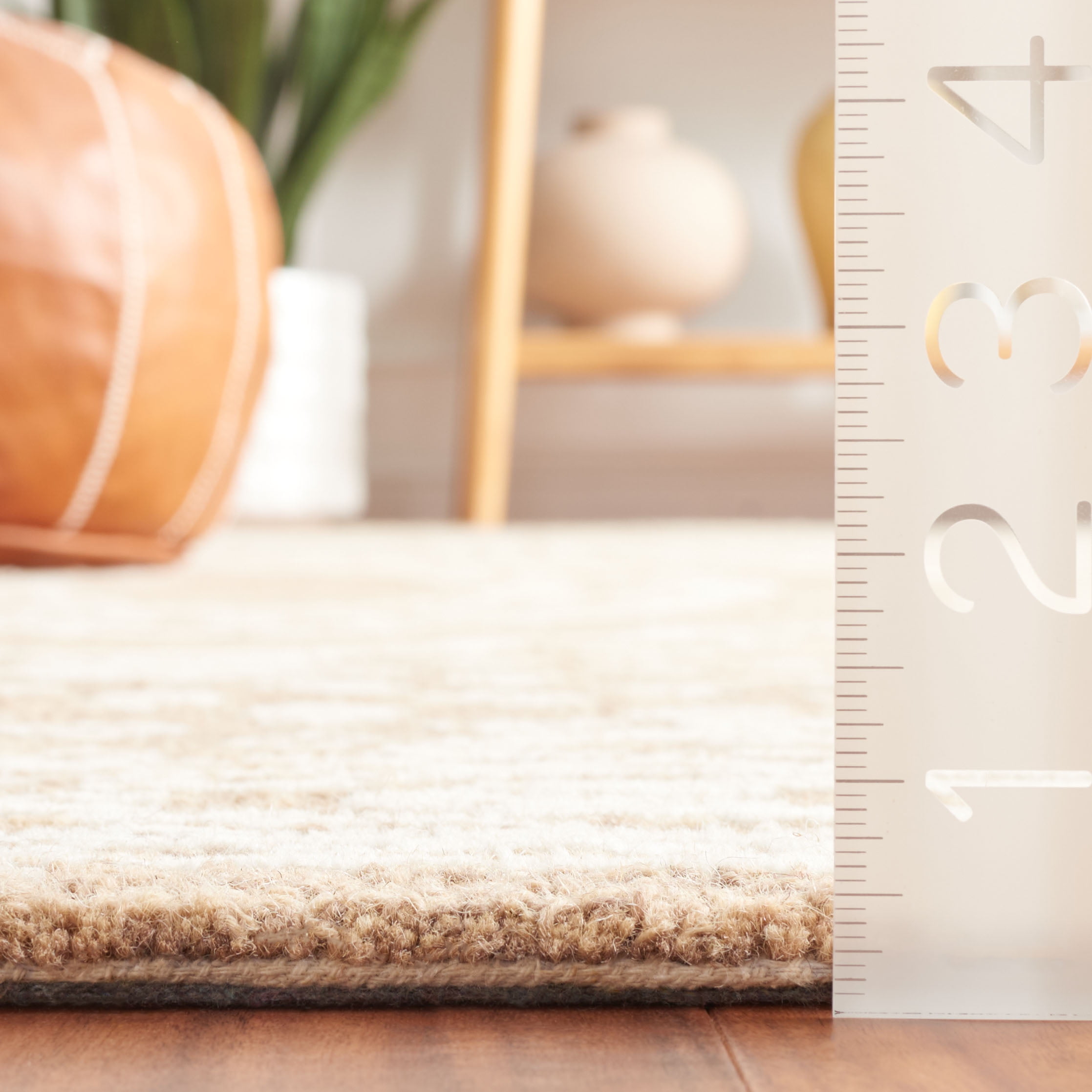SAFAVIEH Ebony Aiden Bordered Area Rug, Ivory/Brown, 8' x 10'