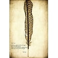 thumbnail image 2 of Malek, Honey 13x18 Black Ornate Wood Framed with Double Matting Museum Art Print Titled - Feather on the Wind V, 2 of 4